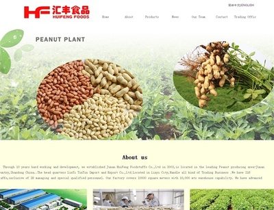 菏澤市網(wǎng)站建設(shè)推廣|企業(yè)網(wǎng)站建設(shè)推廣|臨沂新網(wǎng)網(wǎng)絡(luò)