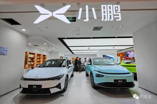 小彭汽車向小鵬汽車致歉上熱搜,前者注冊(cè)資本300萬(wàn)在山東菏澤成立